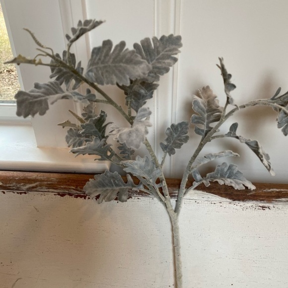 Anthropologie Terrain Velvet Faux Dusty Miller Stem - Picture 5 of 9